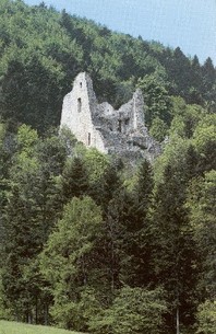 Ruines du château