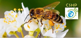 Journée mondiale de l'abeille 2018